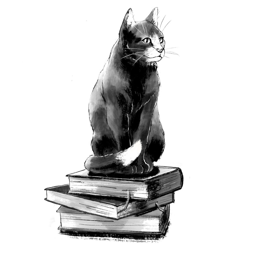 Accumulating Knowledge